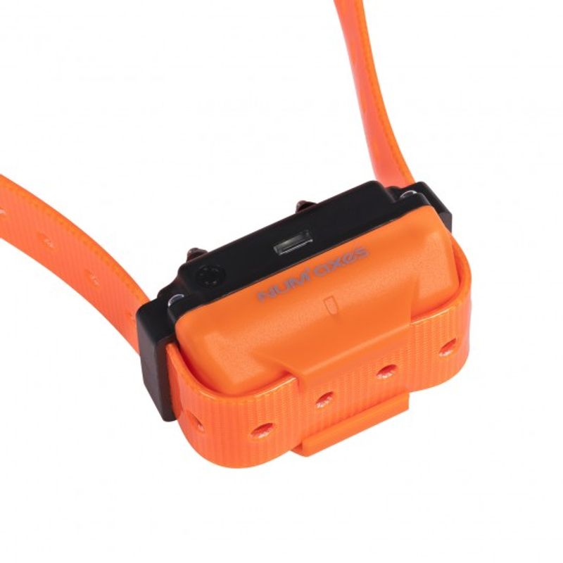 Canicom R-1500 Dressurband, oppladbar.